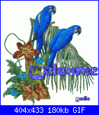 Lisabambola: Ciao a tutte☺️-myphoto-5-gif