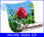 missdidone: Ciao!-myphoto5-gif