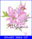 FRANCESCARICAMO: ciao-myphoto16-gif