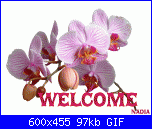 Tatiana Lazzati: Creativa... in formazione-glitterbase-5-gif