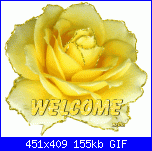 Patrizia Saladino: Salve a tutti-myphoto35-gif