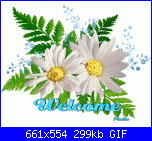 Mariangela1978: Ciao a tutti.-myphoto-4-gif