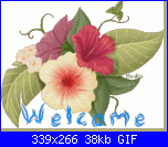 Fedex09: Ciao a tutte-oie_hpqqceku1eee-gif