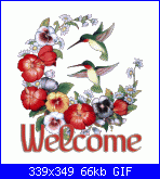 paola ferraresi: Salve io sono Paola-hummingbirdflowers-welcome-gif