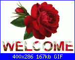 Thimsel: ciao-6664352936d2d6d0a4-gif