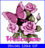 Parente Marilisa: Buonasera!-10myphoto-gif