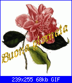 Buongiornooooooooooooooooo forum son tornata-buona_giornata_013-gif