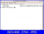 Lella:  Ubuntu il mio  incubo!!!-terminale-jpg