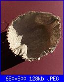 creare fiorellini-21278148-jpg