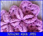 Conoscete questo punto?-foto2-jpg