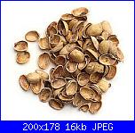 fiori di bucce di pistacchio-200101-27636955-m750x740-jpg