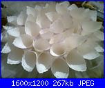 coni per il riso-foto0138-jpg