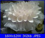 coni per il riso-foto0139-jpg