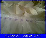 coni per il riso-foto0137-jpg