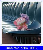 Una zebra con un calzino-zebra-jpg