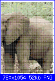 SCHEMI SCHEMI E...........ANCORA SCHEMI-elephant3-png