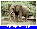 SCHEMI SCHEMI E...........ANCORA SCHEMI-elephant-png