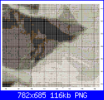 SCHEMI SCHEMI E...........ANCORA SCHEMI-gp2-bn4-png