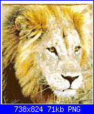 SCHEMI SCHEMI E...........ANCORA SCHEMI-male-lion-png