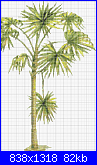 SCHEMI SCHEMI E...........ANCORA SCHEMI-palm-tree-png