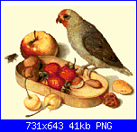 SCHEMI SCHEMI E...........ANCORA SCHEMI-pygmy-parrot-png