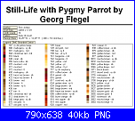 SCHEMI SCHEMI E...........ANCORA SCHEMI-pygmy-parrot8-png