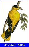 Schemi, Autori e Thread - Aiutaci!-pappagallo-giallo-jpg