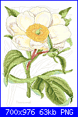 SCHEMI SCHEMI E...........ANCORA SCHEMI-antique-peony-png