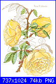 SCHEMI SCHEMI E...........ANCORA SCHEMI-antique-rose0-png