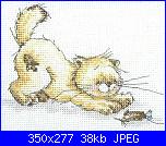 solo the cat-anchor-stc-101-cat-mouse-jpg