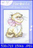 solo the cat-anchor-stc-104-beautiful-bow-jpg