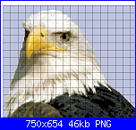 SCHEMI SCHEMI E...........ANCORA SCHEMI-bald_eagle-png
