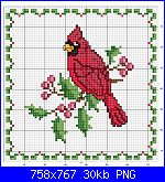 SCHEMI SCHEMI E...........ANCORA SCHEMI-cardinal-png