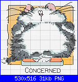 SCHEMI SCHEMI E...........ANCORA SCHEMI-cat-concerned-png