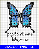 SCHEMI SCHEMI E...........ANCORA SCHEMI-papilio_ulisses-png