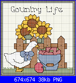 SCHEMI SCHEMI E...........ANCORA SCHEMI-patinho-png