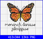 SCHEMI SCHEMI E...........ANCORA SCHEMI-monarca-png