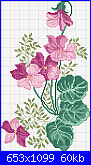 SCHEMI SCHEMI E...........ANCORA SCHEMI-cyclamen-png