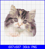 SCHEMI SCHEMI E...........ANCORA SCHEMI-gatto-moro-png