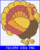 SCHEMI SCHEMI E...........ANCORA SCHEMI-turkey-png