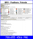 SCHEMI SCHEMI E...........ANCORA SCHEMI-br1-feathers-friends7-png