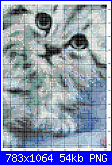 SCHEMI SCHEMI E...........ANCORA SCHEMI-cats-hat8-png