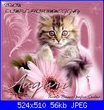 Quinto Complyforum!-ondina_auguri-micio-jpg