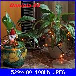 Gli alberi e i presepi delle Megghyne 2019-decorazione-2019-jpg