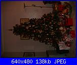 Foto  iniziativa : " L' albero  di Natale più bello e il più votato  del 2011"-dsc01454-jpg