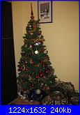 Foto degli alberi di Natale e dei presepi delle megghyne 2012-img_2021-jpg