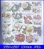 Better Homes And Gardens - 2001 Cross Stitch Designs *-state-flowers-patron-jpg