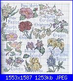 Better Homes And Gardens - 2001 Cross Stitch Designs *-state-flowers-c-patron-jpg