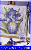 Cross Stitch Collection 169 - Avril 2009 *-rainbow-flower-photo-pg-2-jpg