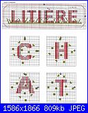 DFEA HS23 - Chats *-50-jpg